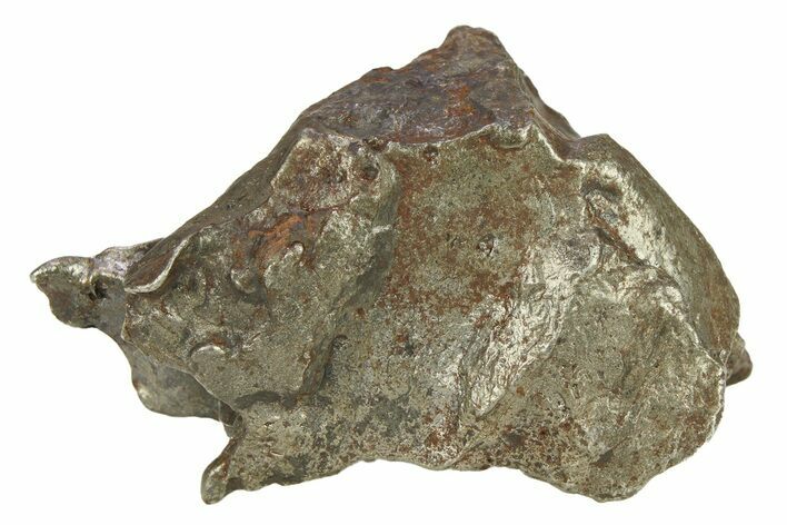 Sikhote-Alin Iron Meteorite Shrapnel ( g) - Russia #287756